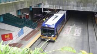 Downtown Seattle Transit Tunnel International DistrictChinatown Station [upl. by Rudolfo]