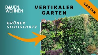 Vertikaler Garten grüner Sichtschutz und schöner Garten [upl. by Wolbrom968]