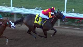 Baffert Sends Toews On Ice to Smarty Jones [upl. by Cully72]