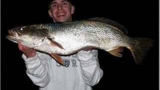 Tiderunner Weakfish of New Jersey [upl. by Eilis]