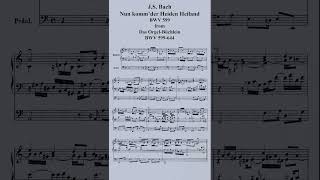 JS Bach Nun kommder Heiden HeilandBWV 599 2 pianosshorts [upl. by Yeffej216]