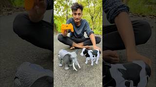 Remote control elephant 🐘 with Rc cow 🐄 testing [upl. by Denys]