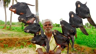 Boneless Goat Head Curry  Mutton Head Masala Curry  Yummy Goat Head Recipe Cooking In Village [upl. by Amitaf835]