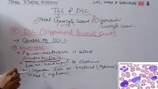 tlc and dlc  total leukocyte count  differential leukocyte count [upl. by Fernanda227]