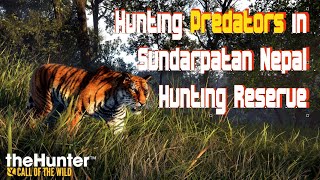 🔴 PREDATOR HUNTING ONLY WITH A BOW The Hunter Call of the Wild™ [upl. by Ecnerwal]