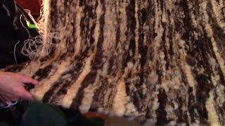 Making A Raw Wool Rug On A Hand Loom [upl. by Einna446]