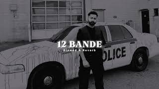 12 Bande  Slowed amp Reverb   Varinder Brar [upl. by Stephen633]