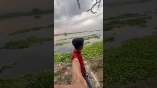 Nadi me se machli k bache pakde  catching aquarium fish babies catchingfish aquariumfish pets [upl. by Anotyal]