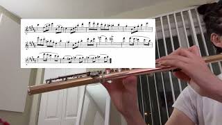 11324 practice log Demersseman no 8 flute etude [upl. by Llertnov]