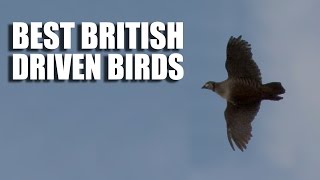 Best British Driven Bird Shooting [upl. by Bithia]