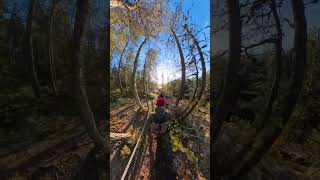 Sunday Hiking with insta360 [upl. by Anidualc]