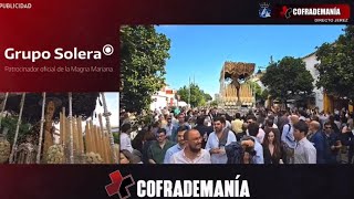 MagnaJerez 2024 Tres palios unidos por la televisión cofrademaniajerez [upl. by Noitna]