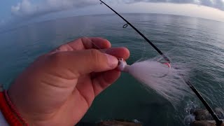 S7E16 Pesca de PLAYA con PLUMILLAS y POPPERS  Pesca Yucatan [upl. by Yale936]