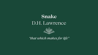 Snake  D H Lawrence [upl. by Ackerley588]