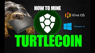 How To Mine TurtleCoin  Windows 10 Hive OS  CPU MINING [upl. by Lippold487]