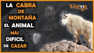 La Cabra de Montaña El Animal Más Difícil de Cazar [upl. by Aric]