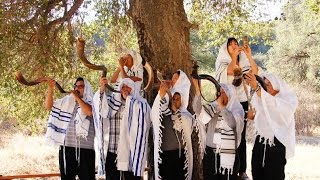 Celebrating Yom Teruah with 7 shofars at the dawning of a new day [upl. by Feledy]