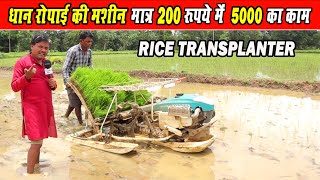 धान लगाने वाली मशीन का रिव्यू RicePaddy Transplanter machine ReviewKubota Rice Transplanter [upl. by Narah414]