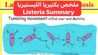 ملخص بكتيريا الليستيريا Listeria Summary [upl. by Franck139]