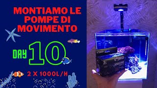 Montiamo le pompe di movimento nel mio acquario marino Nano Reef da 50 litri [upl. by Nageam427]