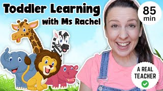 Toddler Learning with Ms Rachel  Learn Zoo Animals  Kids Songs  Educational Videos for Toddlers [upl. by Mercola]