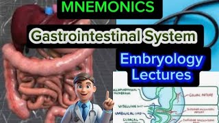 Gastrointestinal System Embryology Lecture 41 Development of Gastrointestinal System [upl. by Elraet]