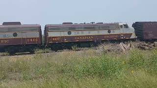 CP 2816 Steam locomotive leading CP 7013 and CP 1401 and 4107 in San Diego Texas [upl. by Damiano]