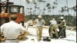 Freeport Grand Bahama Island Bahamas  195664 [upl. by Daren]