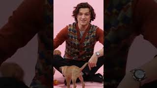 Tom Holland Plays With Puppies [upl. by Eleda559]