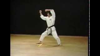 Heian Nidan  Shotokan SKIF  Hirokazu Kanazawa [upl. by Evangelist]