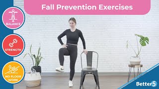 Fall Prevention Exercises Day 1 [upl. by Aissak546]