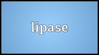 Lipase Meaning [upl. by Nohs522]