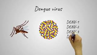 Novel approach to vaccine for dengue virus [upl. by Temme]