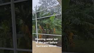 Drain water from your pool before a hurricane permaculturegarden gardening hurricane [upl. by Akirat909]