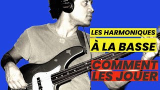 Le secret des harmoniques à la basse  Astuces et conseils pour débutants [upl. by Emilia]