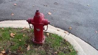 Waterous Trend Model WT77 Dry Barrel Fire Hydrant  4 amp 34 Inch Valve Opening [upl. by Nolte]