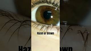 Hazel or brown eyes [upl. by Inol]