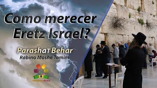 Parashat Behar Como merecer Eretz Israel  Rabino Moshe Tamim  Hidabroot Brasil 2024 [upl. by Oeramed495]