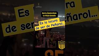 Es la locura de ser de Peñarol un amor inexplicable🎶 peñarol [upl. by Dupaix]