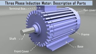 3 Phase Induction Motor Construction amp Working Electrical Machines BEE EEE Engineering 1st year [upl. by Boehike468]