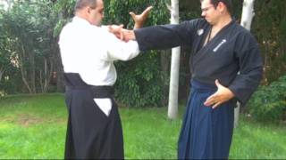 Ogawa Ryu Tokubetsu Jugyou  Teaching Moments  II [upl. by Zebapda]