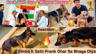 Winner Hogye🥇Rock Jeet Gya🔥 Simba K Sath Kiya Prank😆Ghar Sa Nikal Diya [upl. by Fabrienne]