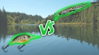 Crankbaits VS Jerkbaits IN DEPTH [upl. by Annadal]