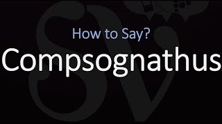 How to Pronounce Compsognathus CORRECTLY [upl. by Bonn]