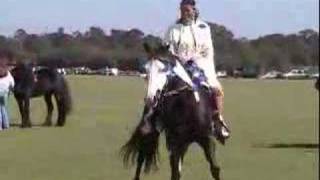 American Paint Horse at the PARADE OF BREEDS 2007 [upl. by Caldera]