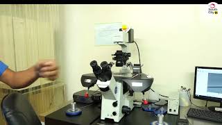 Understanding the ICSI Procedure  Explained by Senior Embryologist Atif Yar Khan [upl. by Toblat162]