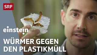 Problem Plastikmüll – 5 mögliche Lösungsansätze für unser Kunststoffproblem  Einstein  SRF Wissen [upl. by Bandur]