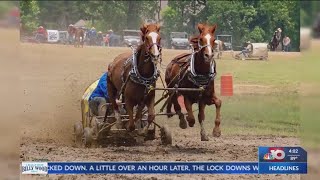 Chuckwagon racing in South Arkansas [upl. by Tartan]