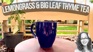 Lemon Grass amp Big Leaf Thyme Tea Made In The Garden [upl. by Eniliuqcaj]