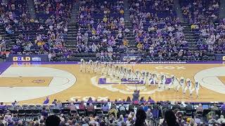 LSU Tiger Girls Michael Jackson National Championship Winning Routine [upl. by Doniv]